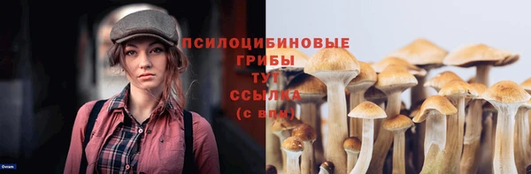2c-b Мегион