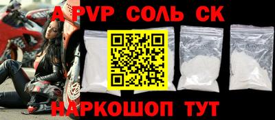 бошки Кингисепп