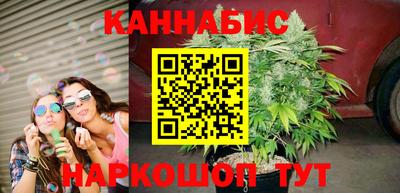 бошки Кингисепп