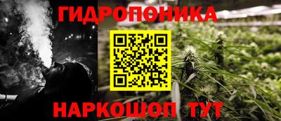 бошки Кингисепп