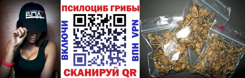 Псилоцибиновые грибы MAGIC MUSHROOMS  Тихорецк 