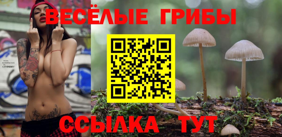 Галлюциногенные грибы Magic Shrooms Тихорецк